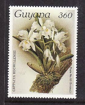 Guyana-Sc#1143-Unused NH-Orchids-Flowers-1985-87-