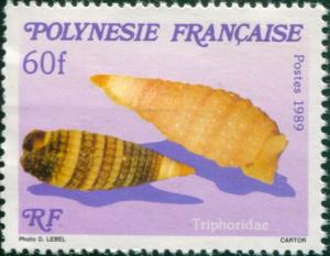 French Polynesia 1989 Sc#523,SG573 60f Sea Shell MNH