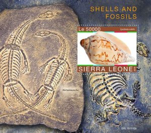 Sierra Leone 2019 MNH Seashells Stamps Sea Shells & Fossils Cymbiola 1v S/S