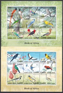 Sierra Leone, Fauna, Birds / MNH / 2000