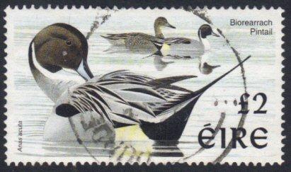 Ireland #1067 used £2 pintail duck