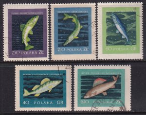 Poland 1958 Sc 810-4 Pike Perch Salmon Trout Grayling Marine Fish Stamp Used