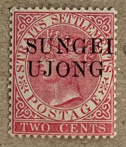 Sungei Ujong 1885 2c bright rose.  Scott 26A, CV $15.00. SG 43