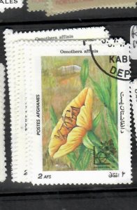 AFGHANISTAN   FLOWERS  1965        VFU     P0614H