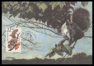 #2295 Gray Squirrel Wildlife Maxi FDC