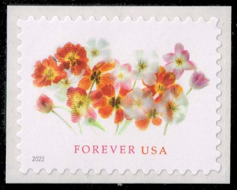 US #5681 Tulips; MNH