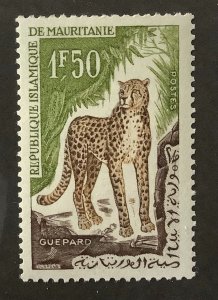 Mauritania 1963 Scott 136 MNH- 1.50fr, Native fauna, Cheetah, Guépard