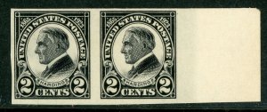 USA 1923 Harding 2¢ Imperf Margin Pair Scott # 611 MNH W877