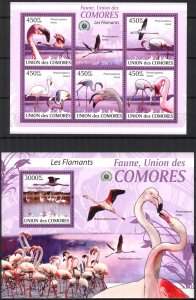 Comoro Islands 2009 Birds Flamingo Sheet + S/S MNH