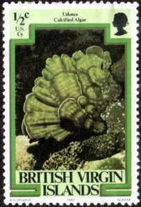 British Virgin Islands 364 - Mint-H - 1/2c Calcified Algae (1980) (cv $0.75)