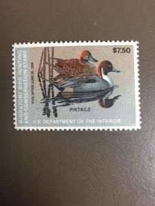 US RW50 Federal Duck Stamp - mint never hinged - very nice 1983 stamp