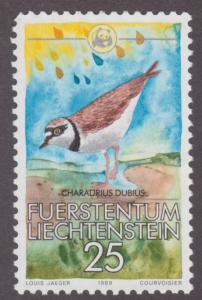 Liechtenstein 907 Charadrius Dubuis 1989