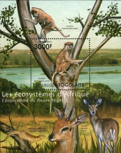 The Niger River Ecosystem Stamp Erythrocebus Patas S/S MNH #4230 / Bl.649