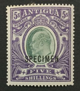 MOMEN: ANTIGUA SG #40s SPECIMEN 1903-07 MINT OG H LOT #191841-224