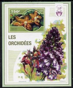 Niger Republic 2014 Orchids #2 imperf s/sheet unmounted mint