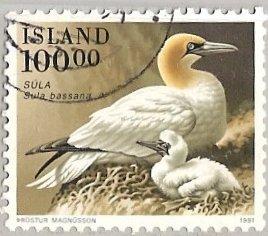 Iceland 725 (used) 100k northern gannet