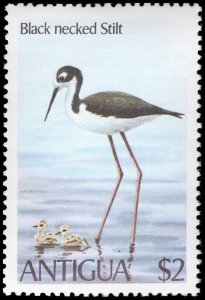 Antigua 1980 Sc 587-590 Bird Kingfisher Pigeon Carib Stilt CV $6.40