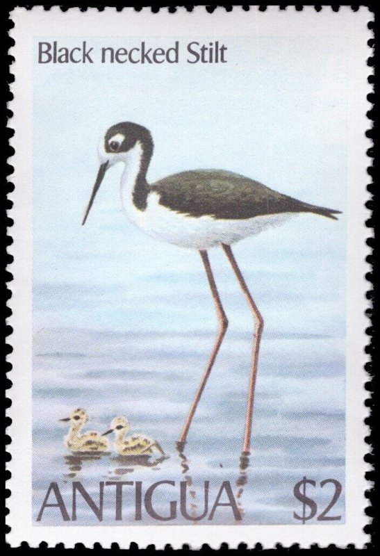 Antigua 1980 Sc 587-590 Bird Kingfisher Pigeon Carib Stilt CV $6.40