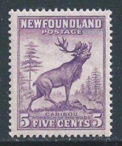 Newfoundland #191 NH 5c Caribou Die II