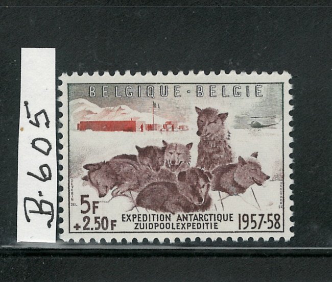 BELGIUM 1957 DOGS & ANTARTIC CAMP #B605 - 605b MNH $38.25