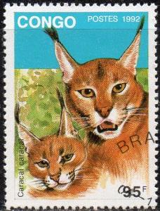 Congo (People's Rep.) 981 - Cto - 95fr Caracal (1992) (cv $0.80) (3)