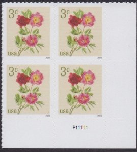 5899 Peonies Plate Block MNH