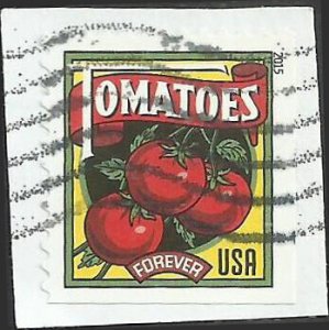 # 5007 Used Summer Harvest Tomatoes