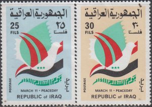 IRAQ   #803-804      MNH