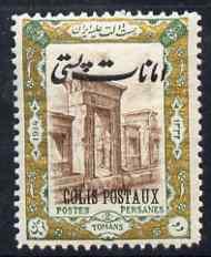 Iran 1915 Parcel Post 2to unmounted mint SG P457