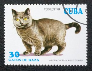 CUBA Sc# 3555 CATS domestic felines  30c  1994 used cto