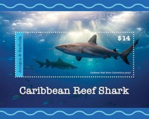 Antigua 2020 - Reef Sharks - Marine Life - Souvenir Stamp Sheet - Scott 3585 MNH