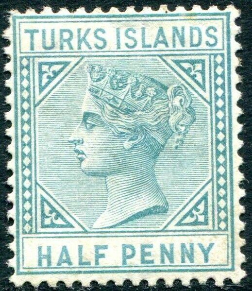 TURKS & CAICOS ISLANDS-1882 ½d Blue-Green Sg 53 AVERAGE MOUNTED MINT V31495