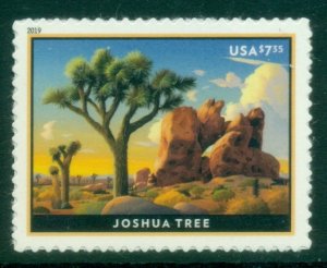 USA 2019 Priority Mail - Joshua Tree MUH