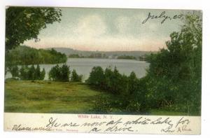 North White Lake to New York City 1906 undivided back Postcard, White Lake
