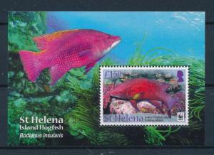 [53867] St. Helena 2011 Marine life WWF Hog Fish MNH Sheet