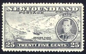 Canada Newfoundland Sc# 242 MNH 1937 25¢ slate Long Coronation Issue