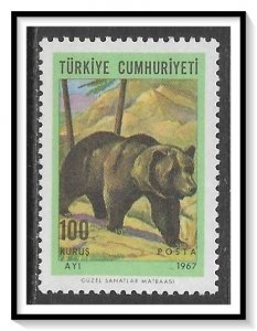Turkey #1737 Brown Bear NG
