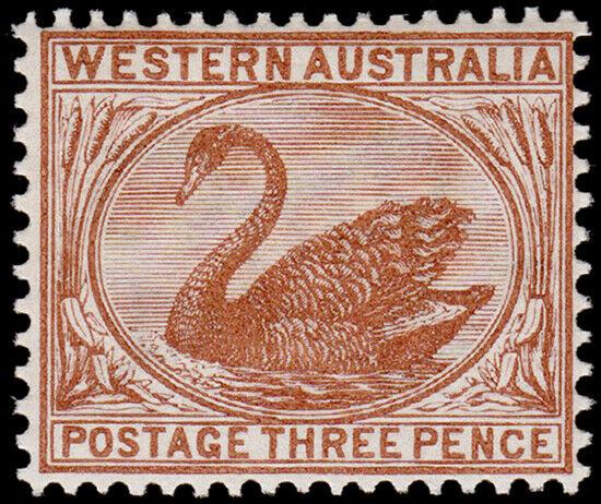 Western Australia Scott 53a, Perf. 14 (1882) Mint NH VF, CV $29.00 M