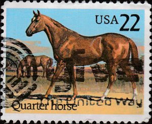 # 2155 USED QUARTER HORSE