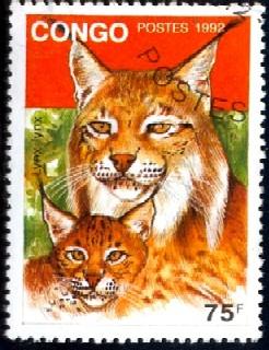 Lynx Lynx, Congo stamp SC#980 Used