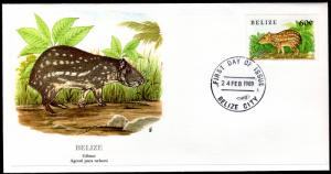 Belize 913 Mammal Fleetwood U/A FDC