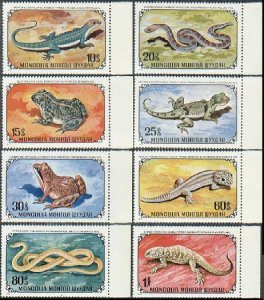 Mongolia 676-683, MNH. Mi 712-719. Amphibian, Reptiles, 1972. Slow lizard, Toad,