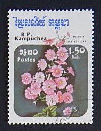 Flowers (R-310)