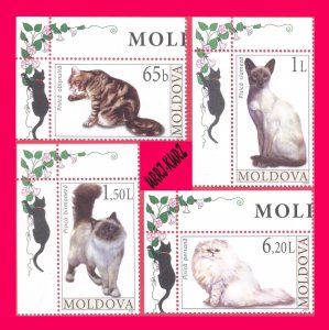 MOLDOVA 2007 Nature Fauna Farm Domestic Animals Pets Cats 4v Sc560-563 MNH