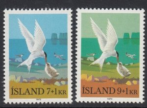 Iceland B23-4 Birds mnh