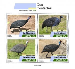 Guinea Birds on Stamps 2020 MNH Guineafowl Helmeted Guineafowl 4v M/S