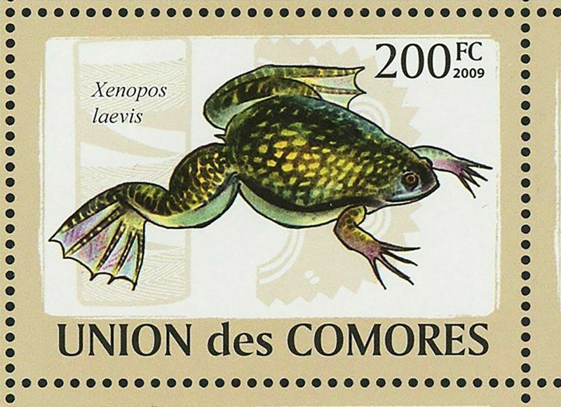 Frogs Stamp Xenopus Laevis Mantella Aurantiaca Pyxicephalus S/S MNH #2163-2168 