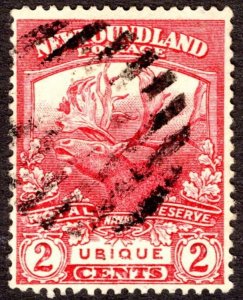 1919, Newfoundland 2c, Used, Sc 116