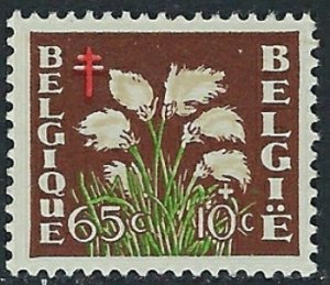 Belgium B486 MLH 1950 issue (ak3648)