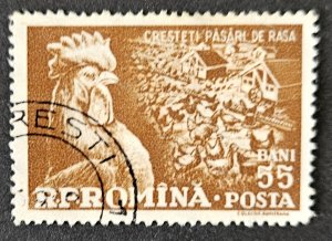 Romania 1959 SG2644 used 55b. Ten Years of Collective Farming in Romania